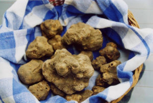 Eataly_White Truffles