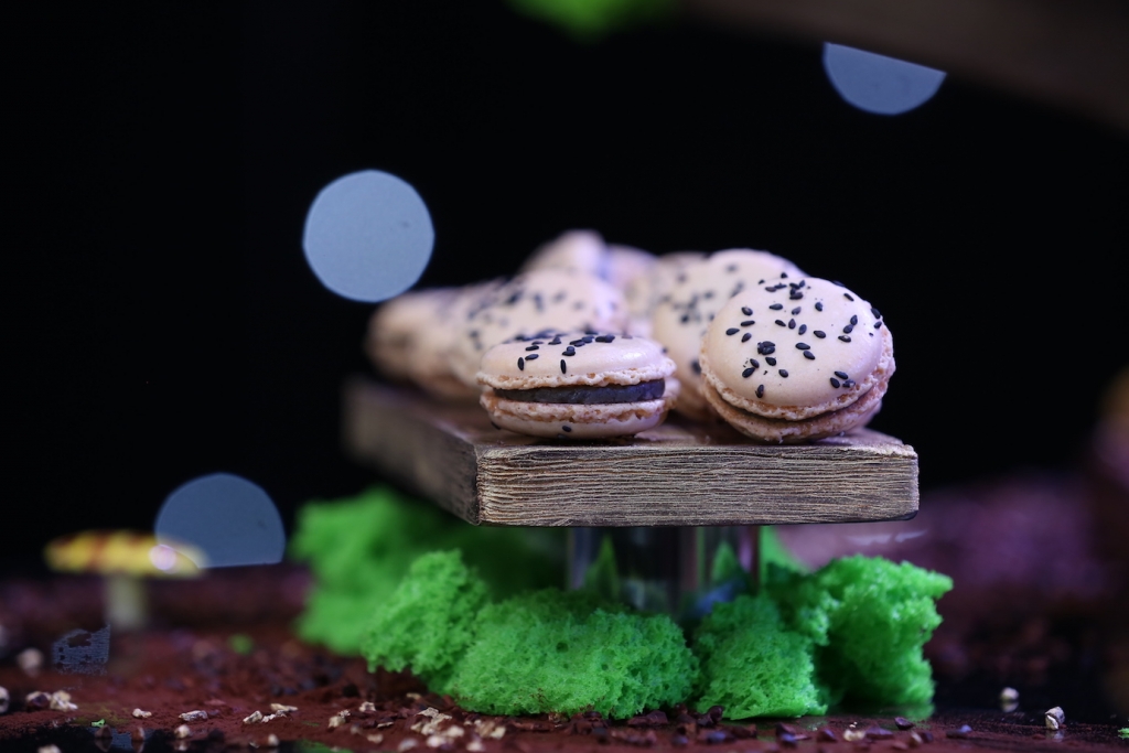 In Pictures: Futropolis Theme Launch