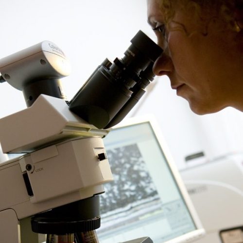 Tetra Pak development work