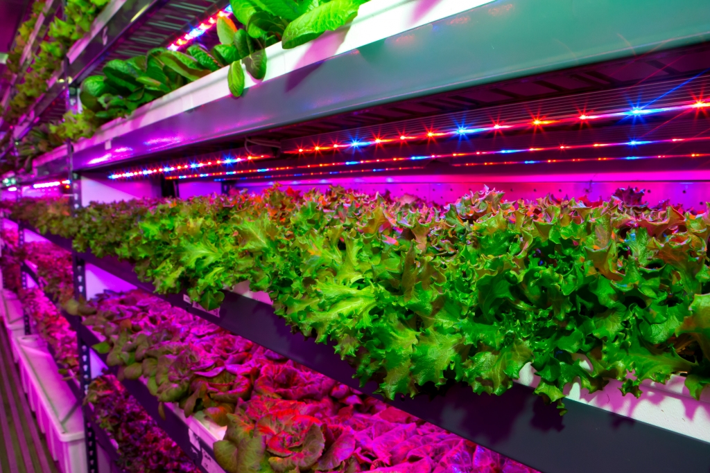 Vertical farming facility