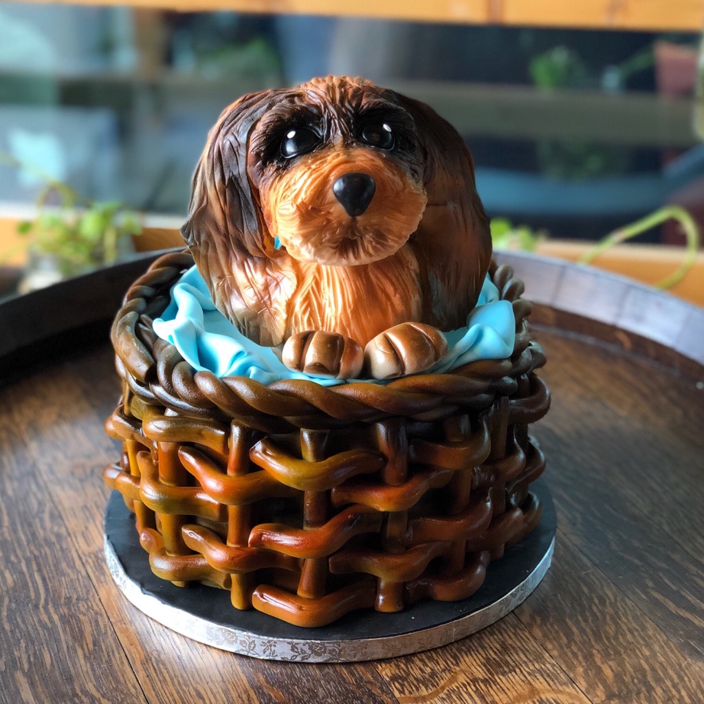 Puppy cake square