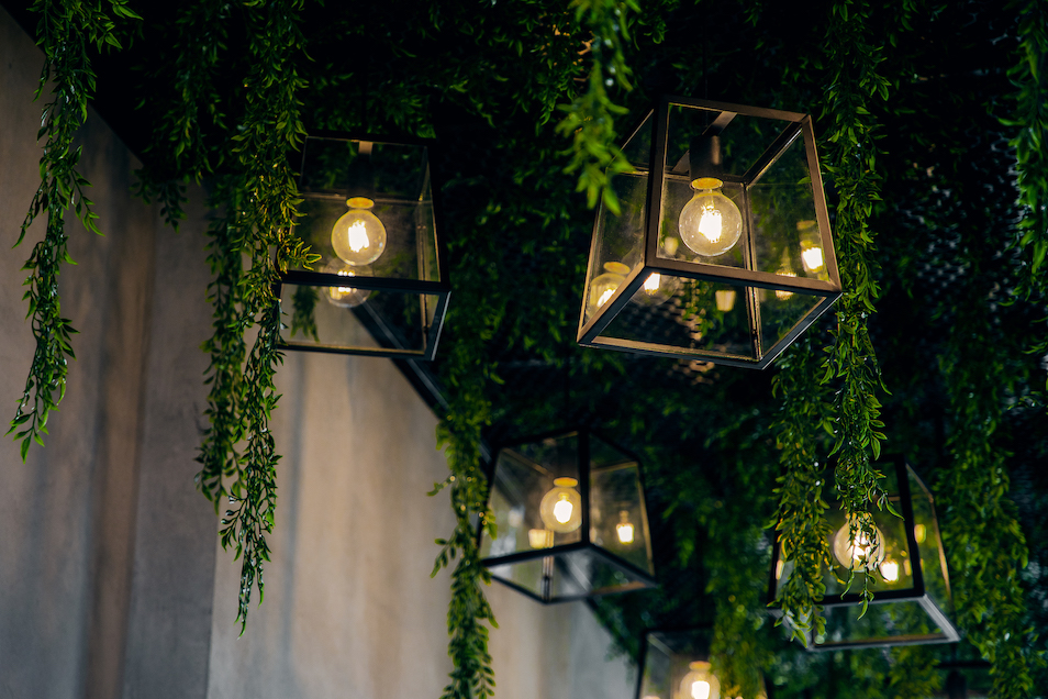 Photo Gallery: Fitzroy