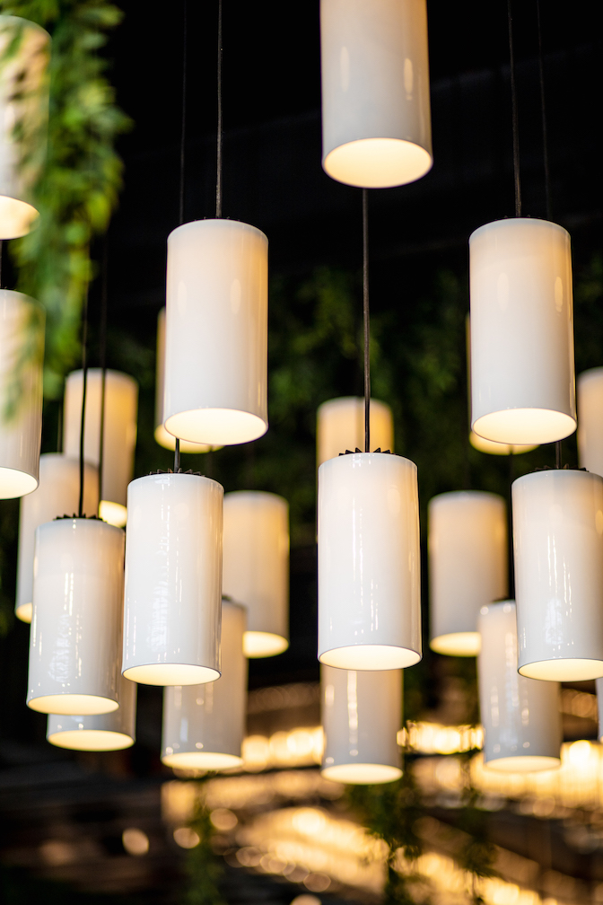 Photo Gallery: Fitzroy