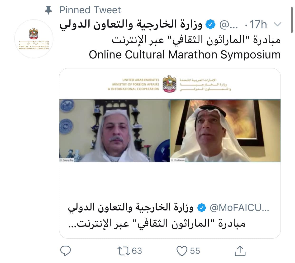 UAE Minister of State hosts online cultural marathon symposium