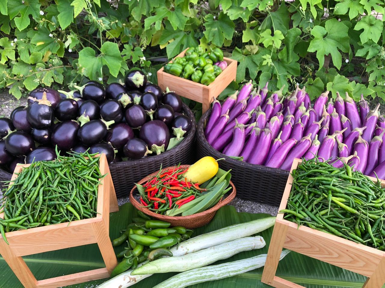 The Residence by Cenizaro rolls out ‘Earth Basket’ initiative