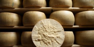 Parmigiano-Reggiano cheese records 62.3% export growth in GCC markets