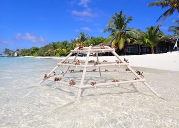 SHERATON MALDIVES FULL MOON RESORT & SPA MAKES WAVES IN SUSTAINABILITY