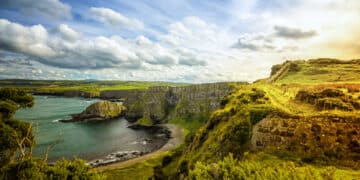 THE GRASS IS GREENER ON THE OTHER SIDE