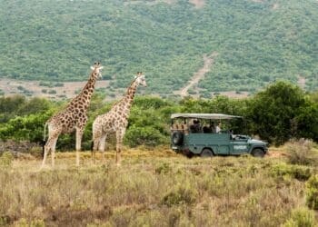 SOUTH AFRICAN TOURISM SHOWCASES VIBRANT OFFERINGS AT ARABIAN TRAVEL MARKET 2024