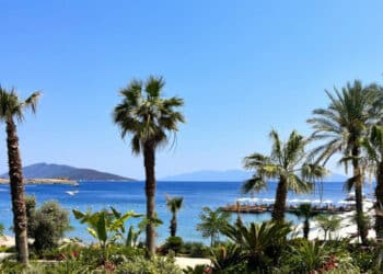 dnata TRAVEL: LAST-MINUTE, LATE SUMMER BOOKING DEMAND HIGH WITH UAE TRAVELLERS