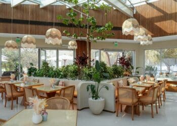 BRUNCH & CAKE EXPANDS FOOTPRINT WITH 20 NEW OPENINGS AND ENTRY INTO 4 NEW GLOBAL MARKETS