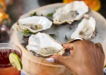 CELEBRATE NATIONAL OYSTERS DAY IN STYLE AT MALIBU SKY LOUNGE, PARAMOUNT HOTEL MIDTOWN