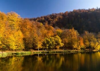 5 REASONS TO EXPERIENCE AUTUMN IN ARMENIA 2025