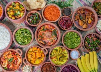 CHRONICLES OF CEYLON 3.0