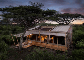 AUTOGRAPH COLLECTION HOTELS DEBUTS IN TANZANIA’S ICONIC GRASSLANDS WITH STARGAZING RETREAT, MAPITO SAFARI CAMP, SERENGETI, AUTOGRAPH COLLECTION