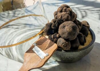 PIERRE’S TT RESTAURANT LAUNCHES LIMITED-EDITION BLACK TRUFFLE MENU